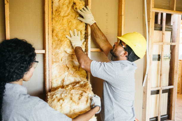 Types of Insulation We Offer in Powdersville, SC